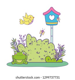 cute toad in the landscape with birdhouse