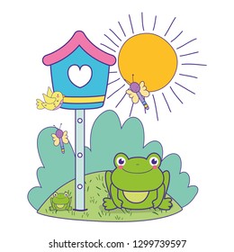 cute toad in the landscape with birdhouse