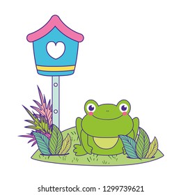 cute toad in the landscape with birdhouse