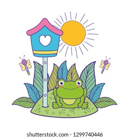 cute toad in the landscape with birdhouse