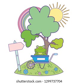 cute toad in the landscape character