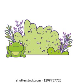 cute toad in the landscape character
