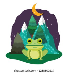 cute toad in the landscape on the night