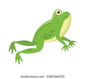 Cute toad mascot icon isolated