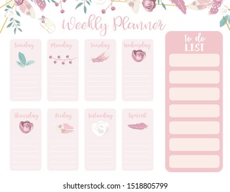 cute today plan background with rose,flower,feather,leaves illustration for kid and baby.Editable element