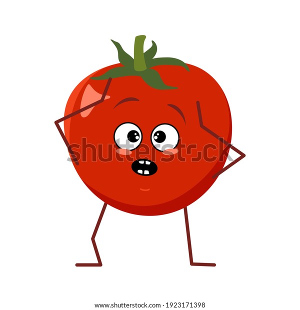 白い背景にパニックに陥った感情を持つかわいいトマトのキャラクターが頭を掴む 赤い果物と野菜の おかしいか悲しいヒーロー ベクターフラットイラスト のベクター画像素材 ロイヤリティフリー