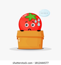 Cute tomato mascot in the box