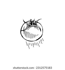 cute tomato vector on white background for kids book icon - design illustration, cute icon