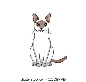 Cute Tonkinese Cartoon Cat. Vector illustration of purebred tonkinese cat.