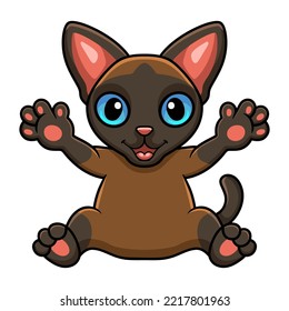 Cute tonkinese cat cartoon raising hands