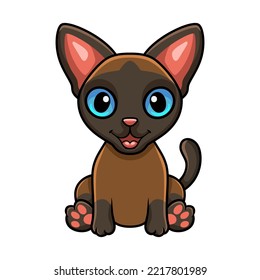 Cute tonkinese cat cartoon sitting
