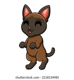 Cute tonkinese cat cartoon standing