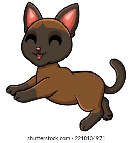 Cute tonkinese cat cartoon walking