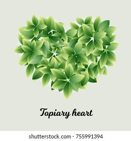 Cute topiary heart. Nature vector illustration of leaves.