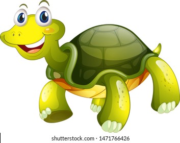 Cute tortoise on white background illustration