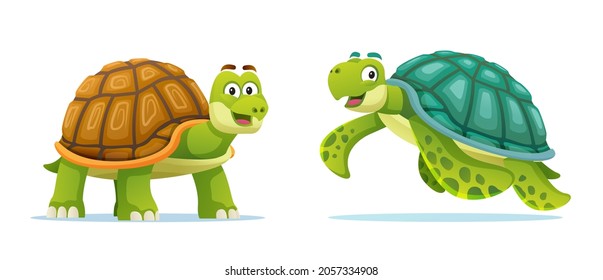 Cute tortoise and sea turtle cartoon illustration