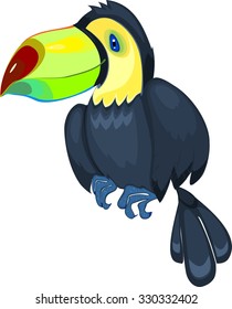 Cute toucan 