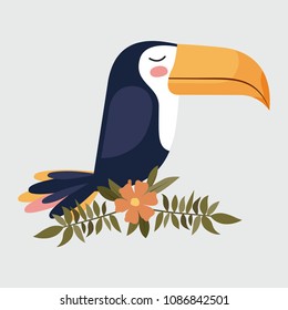 cute toucan bird in branch with flower