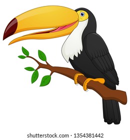Cute toucan bird cartoon