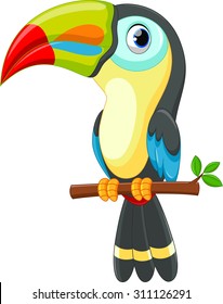 Cute toucan bird cartoon