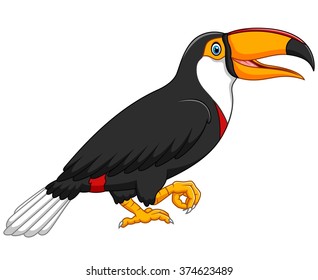 Cute toucan bird cartoon