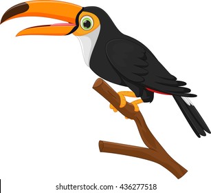 cute toucan bird cartoon