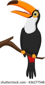 cute toucan bird cartoon