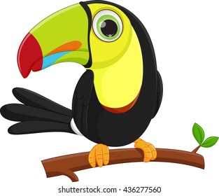 cute toucan bird cartoon