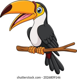 Cute Toucan bird caricatura de ilustraciones vectoriales