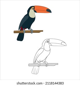 Dibujo vectorial de dibujos animados de pájaros tucanos. Ilustración de Vectores de color y negro y blanco de un toque feliz. Pájaro de caricatura suave aislado en una página de color de fondo blanco. 