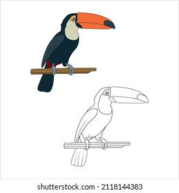 Cute Toucan bird cartoon vector illustration. Colored and Black and White Vector Illustration of a Happy Toucan. Cute Cartoon Bird Isolated on a White Background Coloring Page. 