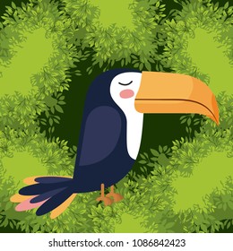 cute toucan bird in forest scape scene