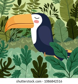 cute toucan bird in forest scape scene