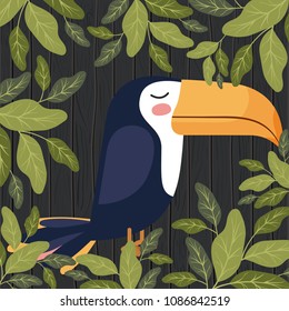cute toucan bird in forest scape scene