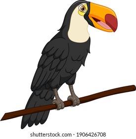 Cute toucan bird on a tree branch