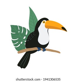 Cute toucan bird sitting on a tropical branch with exotic leaves. Bright colorful vector illustration in cartoon style