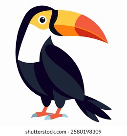 Cute toucan bird. Suitable for educational posters, logos, children's books and encyclopedias. Children's picture. Vector illustration