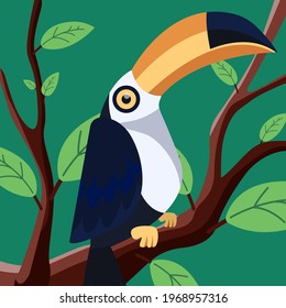 süßer Toucan-Vogelvektor auf Waldhintergrund.