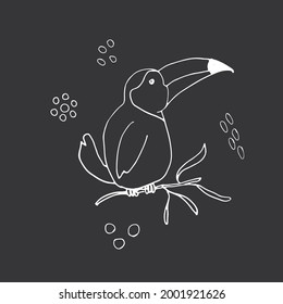 Cute Toucan Cartoon Animal baby and children print design Vector Illustration.