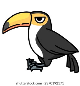 cute toucan cartoon drawing transparent background vector illustration