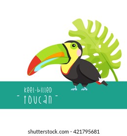 Cute toucan characters vector illustration isolated on white background.