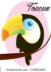 Cute toucan flat vector isolated on white. Toucan bird cartoon character.  South America fauna. Guinea pig icon. Wild animal illustration for zoo ad, nature concept, children book illustrating. summer