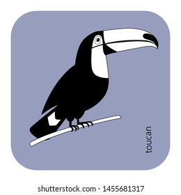 Cute toucan graphic vector isolated. South America fauna. Wild animal illustration for zoo ad, nature concept, children book illustrating. Black and white graphic decorative image .