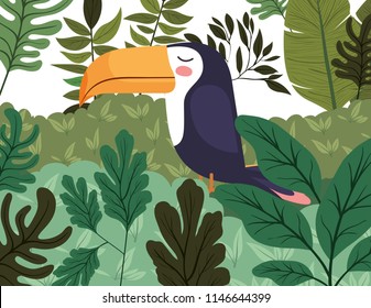 cute toucan in the jungle