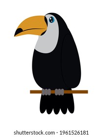 cute toucan on white background
