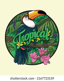 cute toucan tropical green illustration