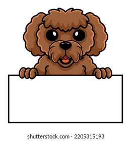 Caricatura de perro de caniche de juguete con signo en blanco