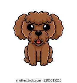 Cute toy poodle dog cartoon