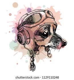 Cute toy terrier dog with vintage steampunk helmet colored by watercolor splash