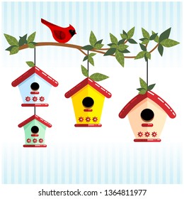 Cute tree branch with colorful bird houses and cardinal bird